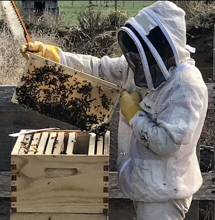 Tower Hill Beekeeping | store | Queen St, Koroit VIC 3282, Australia | 0439616919 OR +61 439 616 919