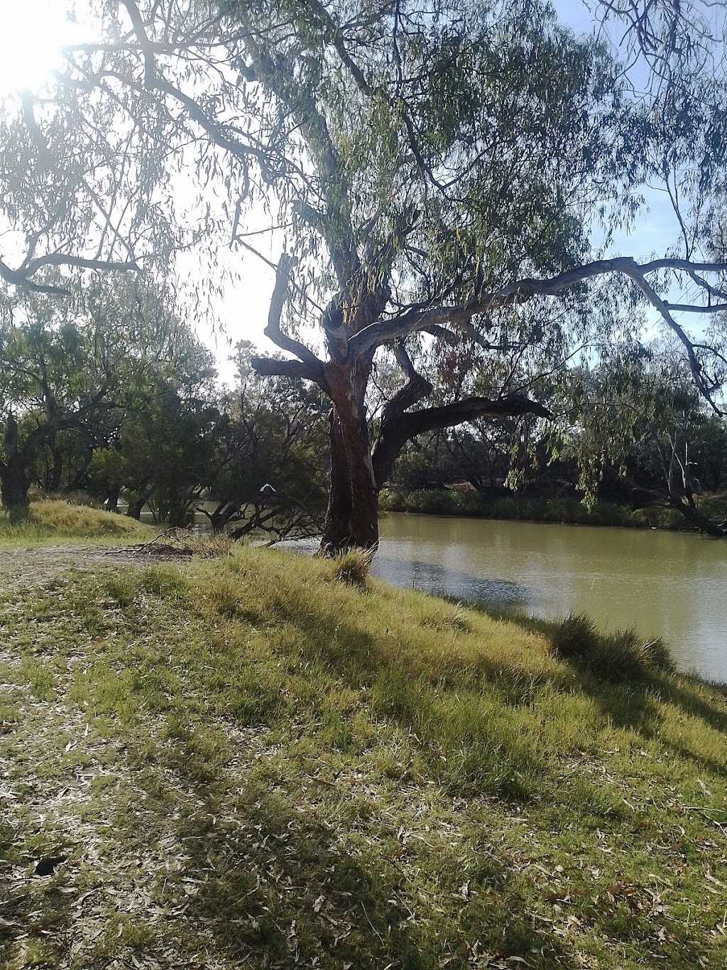 Collarenabri Artesian Hot Spring | 24 Wilson St, Collarenebri NSW 2833, Australia | Phone: (02) 6828 6139