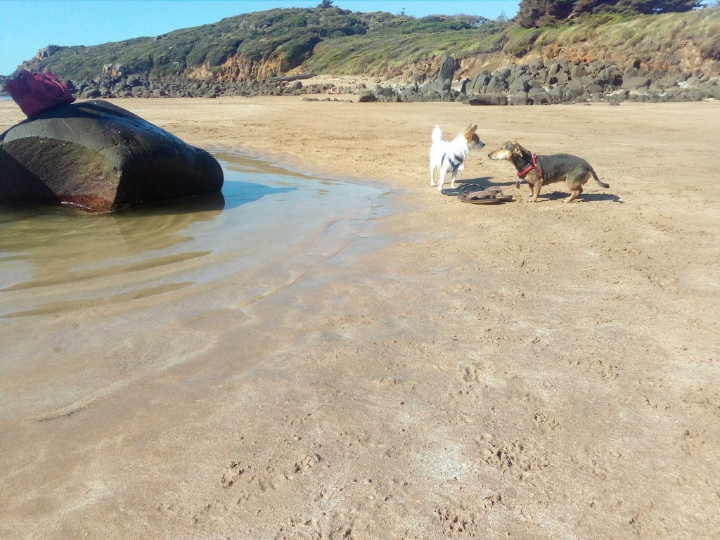 Dog Beach | Devonport TAS 7310, Australia