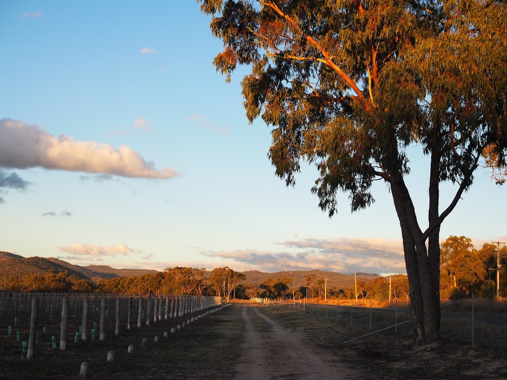 New Tricks Winery | 254 Curtin Rd, Ballandean QLD 4382, Australia | Phone: 0416 189 775 New Tricks Winery | 254 Curtin Rd, Ballandean QLD 4382, Australia | Phone: 0416 189 775
