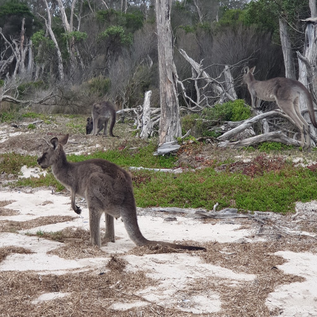 The Lakes National Park | park | Loch Sport VIC 3851, Australia | 131963 OR +61 131963