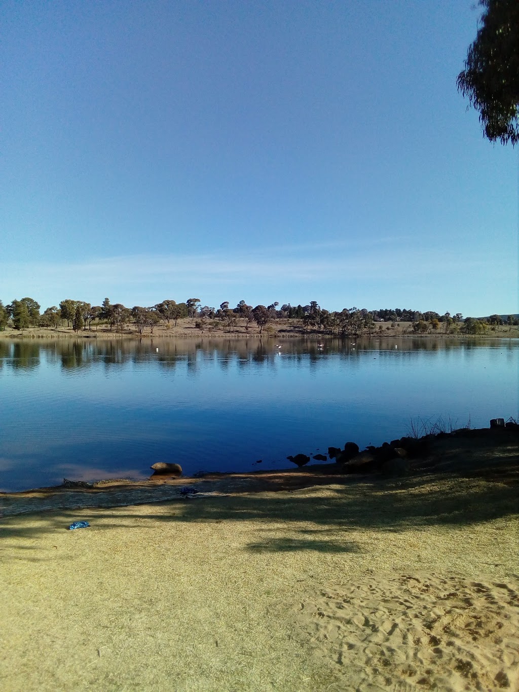 Gosling Creek Reserve | park | 28 Forest Rd, Bloomfield NSW 2800, Australia