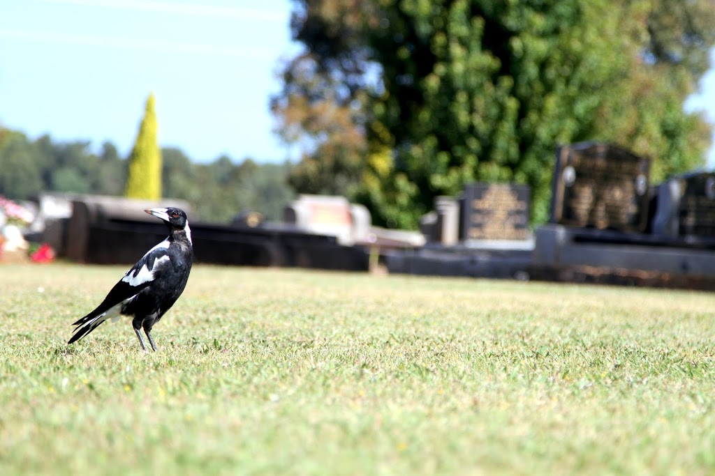 Handley Funeral Services | 24 Anderson St, Leongatha VIC 3953, Australia | Phone: (03) 5662 2717