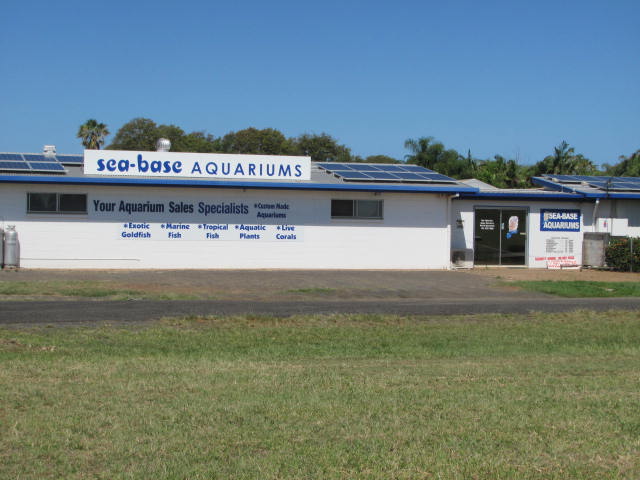 Sea Base Aquariums | aquarium | 67 Bells Rd, Woongarra QLD 4670, Australia | 0741513966 OR +61 7 4151 3966