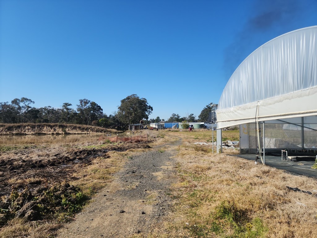 Greenleaves farm | 77-81 Taylor Rd, Cranebrook NSW 2749, Australia | Phone: 0478 785 966