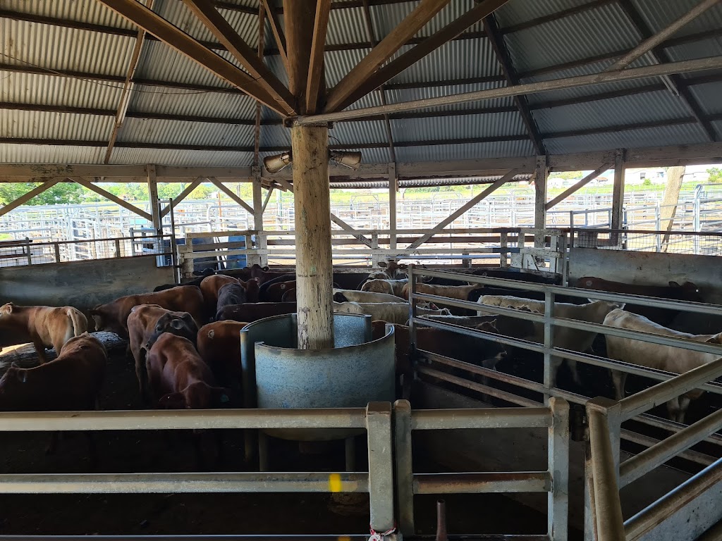 Ian Weir & Son Pty. Ltd. | 205 Lake St, North Lismore NSW 2480, Australia | Phone: 0427 299 104