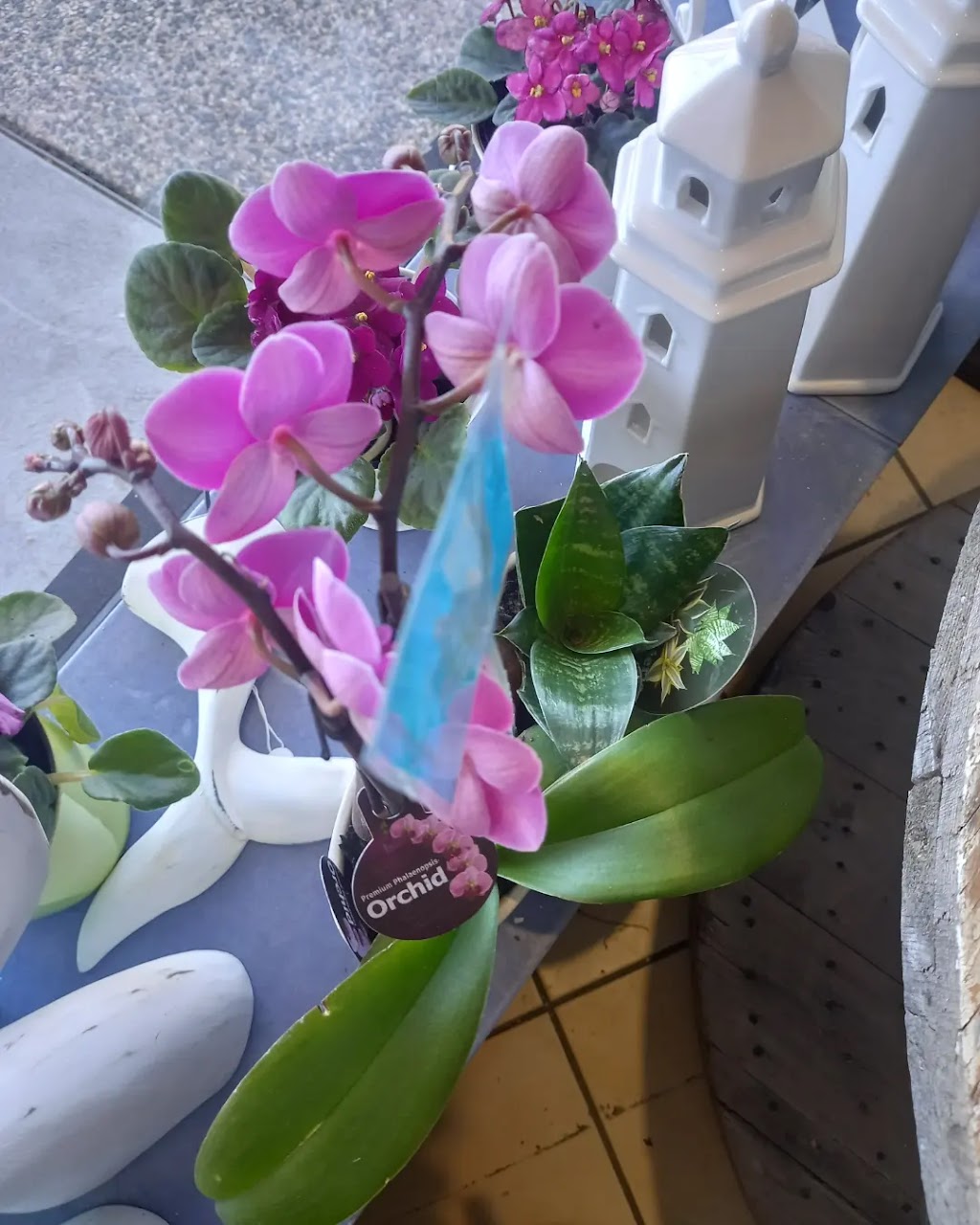 Forget Me Not Studios. FLOWERS AT LAKES ENTRANCE | florist | 357 Esplanade, Lakes Entrance VIC 3909, Australia | 0351553521 OR +61 3 5155 3521
