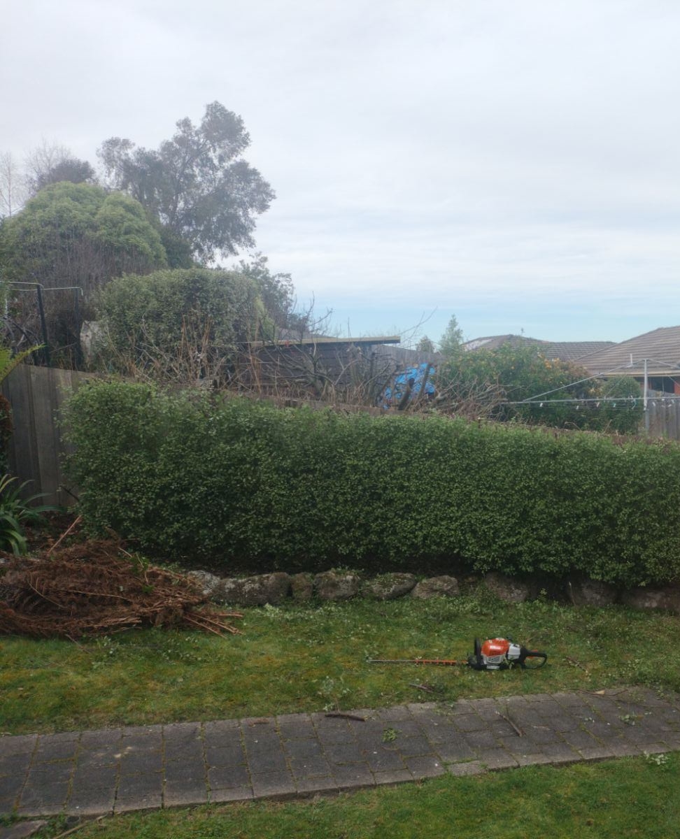 ASAP Arborist | 299 Millvale Rd, Dromedary TAS 7030, Australia | Phone: 0430 682 039
