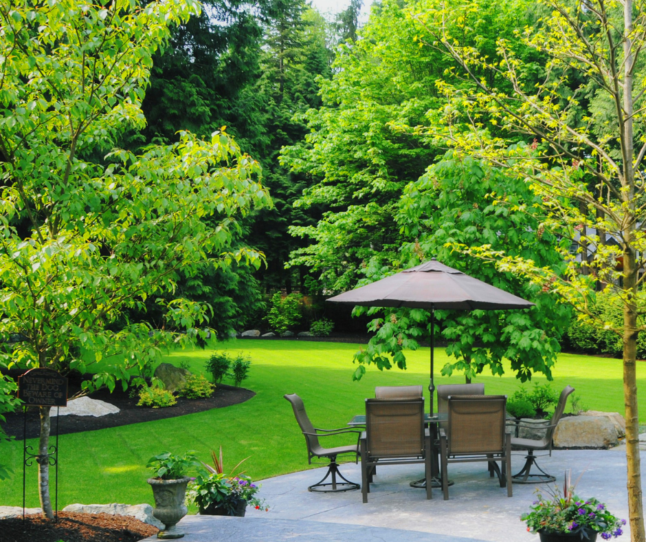 Better Lawn Co | 16 Fletcher Dr, Armstrong Creek VIC 3217, Australia | Phone: 0452 511 266
