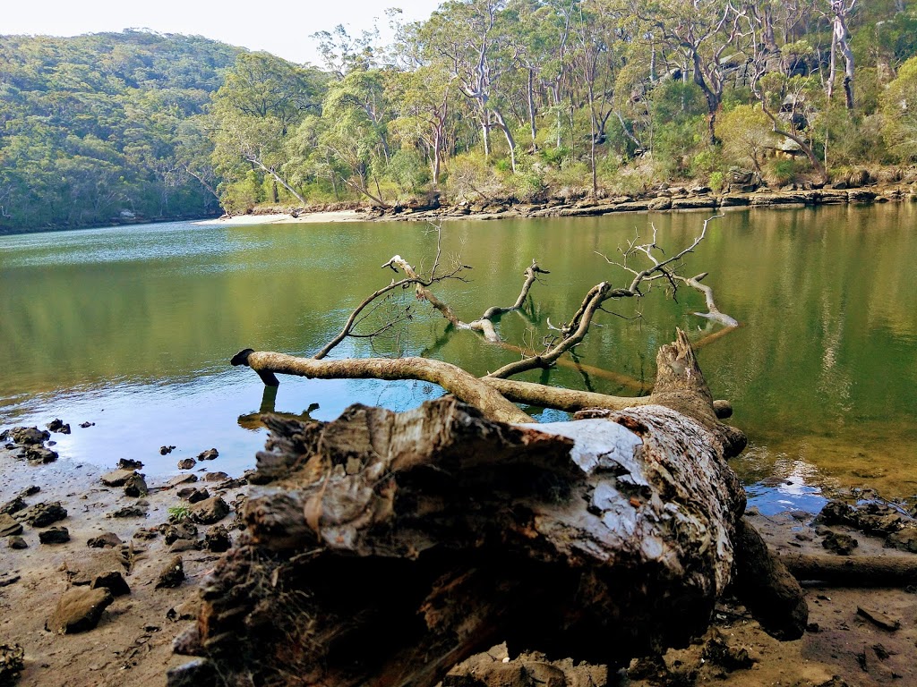 Reids Flat picnic area carpark | parking | Royal National Park NSW 2233, Australia