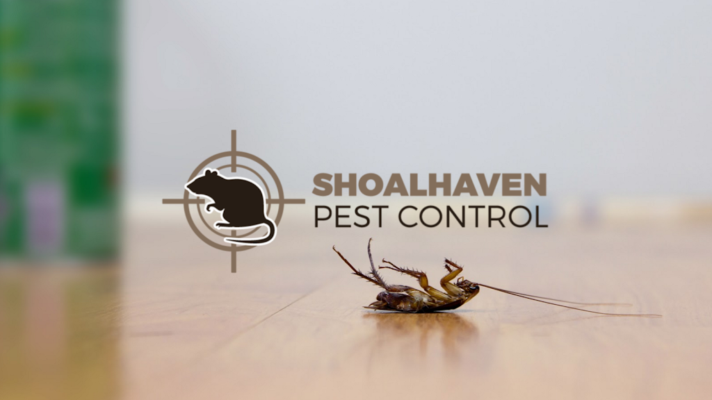 Shoalhaven Pest Control | home goods store | 119 Osborne St, Nowra NSW 2541, Australia | 0422153421 OR +61 422 153 421