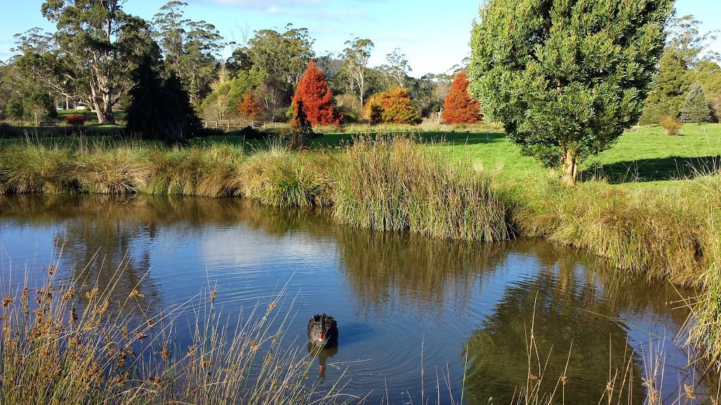 Tasmanian Arboretum | 46 Old Tramway Rd, Eugenana TAS 7310, Australia | Phone: (03) 6427 2690