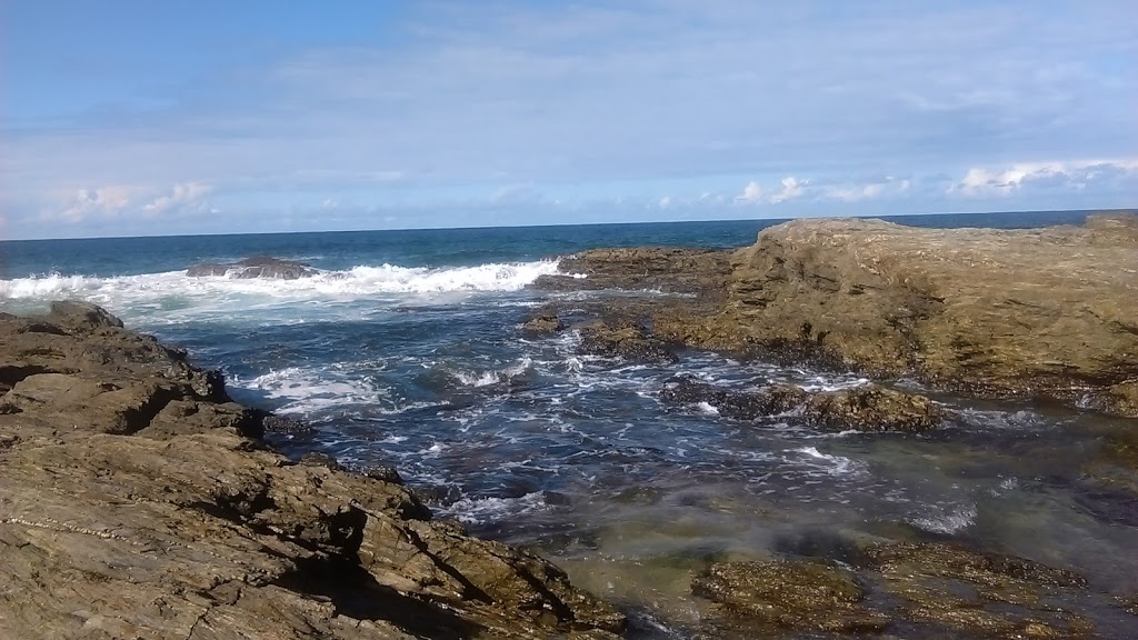 Shelly Beach Nambucca Heads NSW | park | Parkes St, Nambucca Heads NSW 2448, Australia | 0265682555 OR +61 2 6568 2555