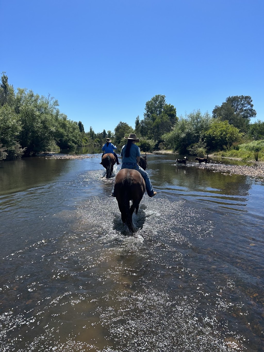 Lancaster’s Horse Rides | Lancaster Rd, Swan Reach VIC 3903, Australia | Phone: 0458 211 123