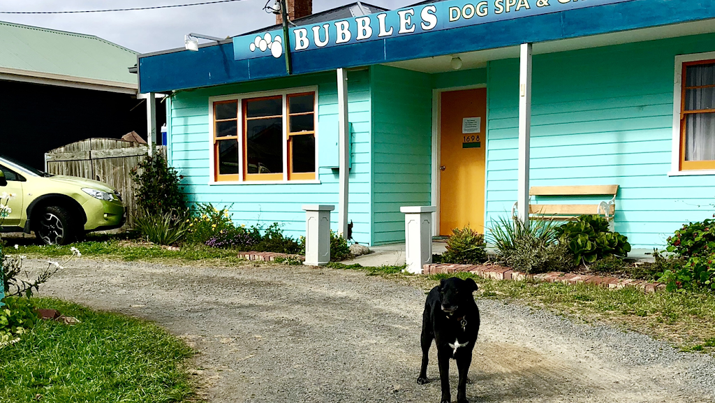 Bubbles Dog Spa & Groom | pet store | 1698 Channel Hwy, Margate TAS 7054, Australia | 0362671821 OR +61 3 6267 1821