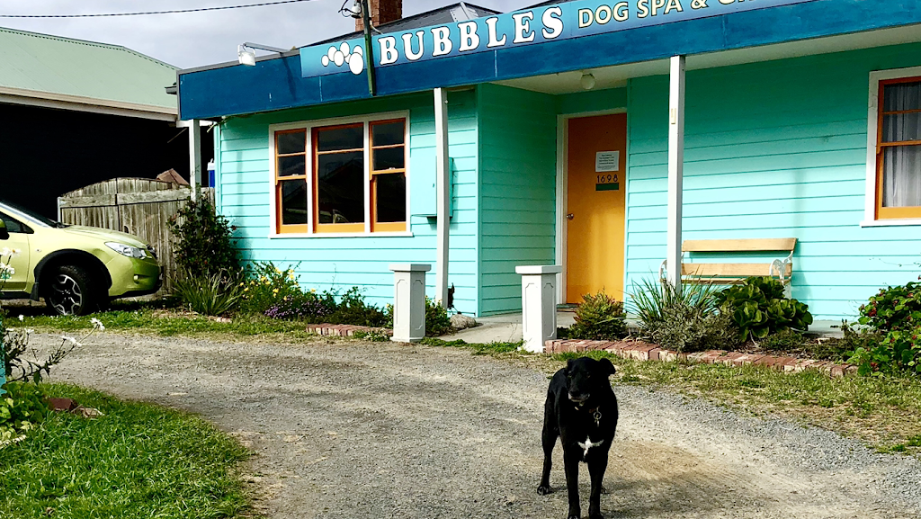 Bubbles Dog Spa & Groom | 1698 Channel Hwy, Margate TAS 7054, Australia | Phone: (03) 6267 1821