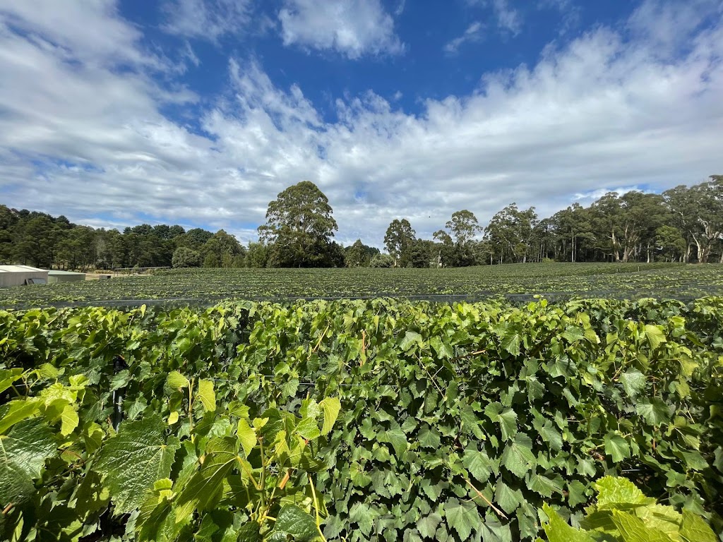 Clarries Track | 20 Donald Lane, Newbury VIC 3458, Australia | Phone: 0419 682 391