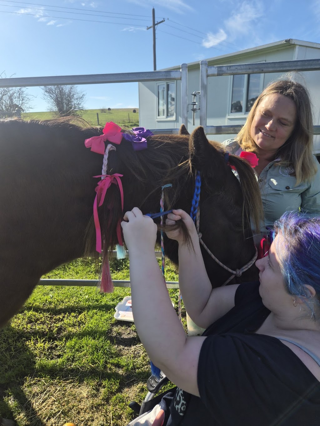 TLC Equine Assisted Therapy & Counselling | 284 Eltham-Yarra Glen Rd, Kangaroo Ground VIC 3097, Australia | Phone: 0421 918 983
