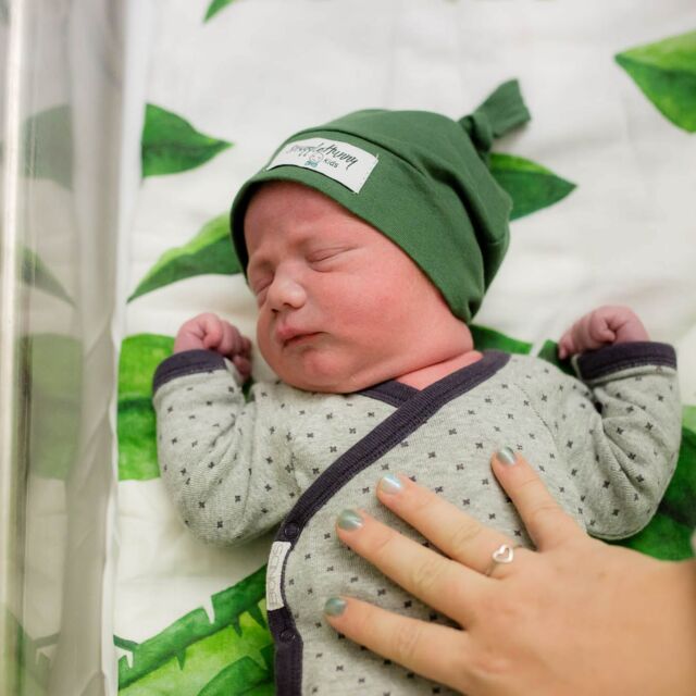 Angela Hardy Photography | Waterworks Rd, Mudgee NSW 2850, Australia | Phone: 0423 275 281