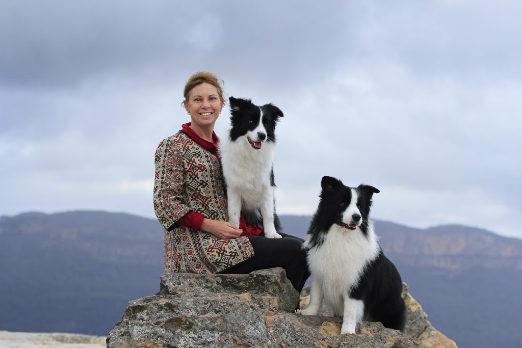 Celtic Heart Border Collies | 38 Nestle Ln, Toogoolawah QLD 4313, Australia | Phone: 0400 018 877
