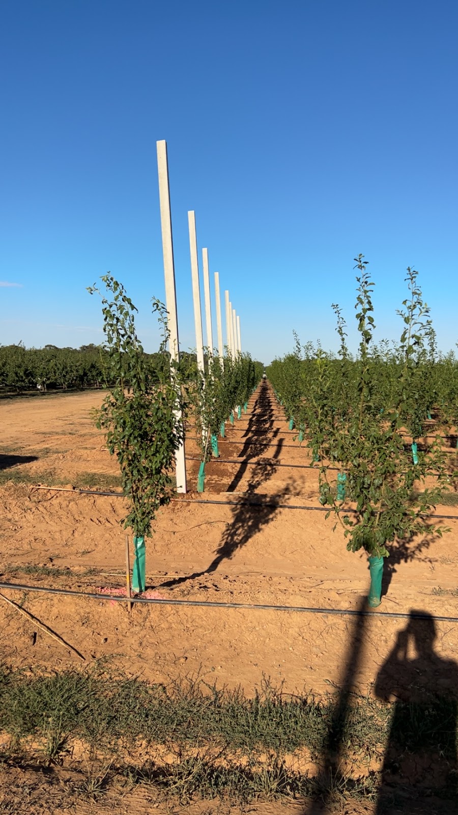 Anderson Rural Contracting | 190 Ardmona Rd, Ardmona VIC 3629, Australia | Phone: 0407 300 059