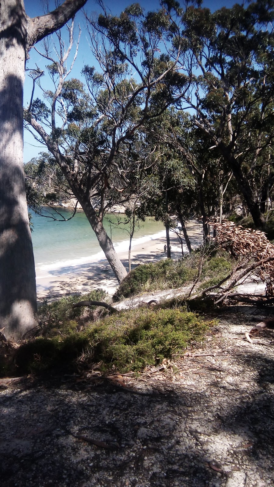Mickeys Beach | park | Un-Named Rd, Eggs and Bacon Bay TAS 7112, Australia