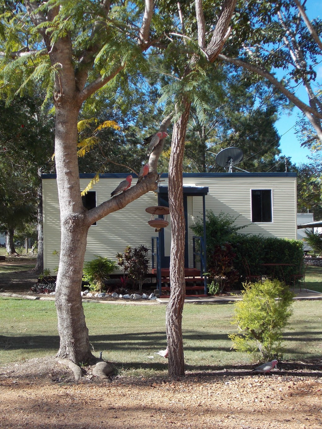 Mount Garnet Travellers Park | rv park | 2 Nymbool Rd, Mount Garnet QLD 4872, Australia | 0740979335 OR +61 7 4097 9335