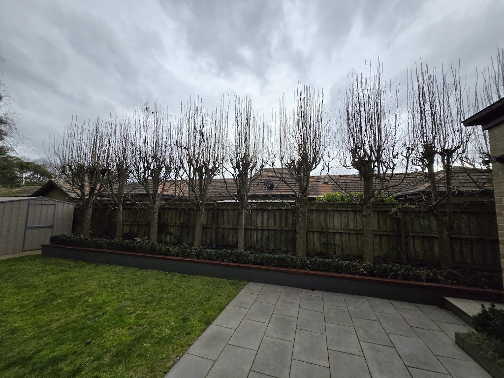 OtwayTrees | 105 Woodrowvale Rd, Elliminyt VIC 3250, Australia | Phone: 0418 346 649