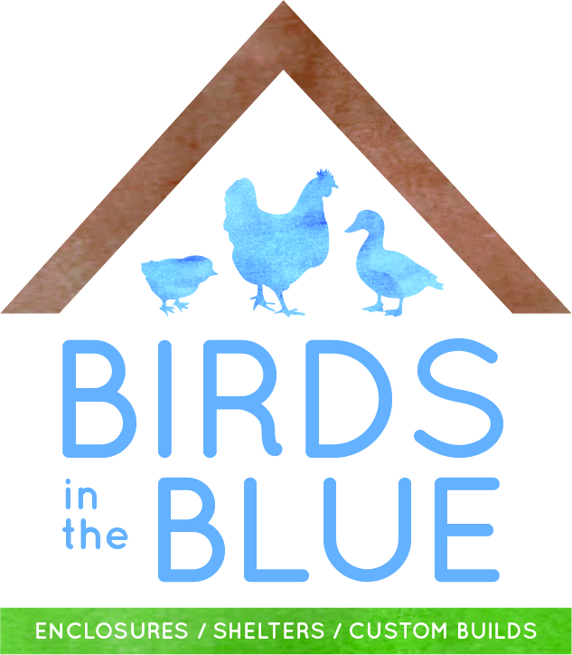 Birds in the Blue | general contractor | 47 Second Ave, Katoomba NSW 2780, Australia | 0403274068 OR +61 403 274 068