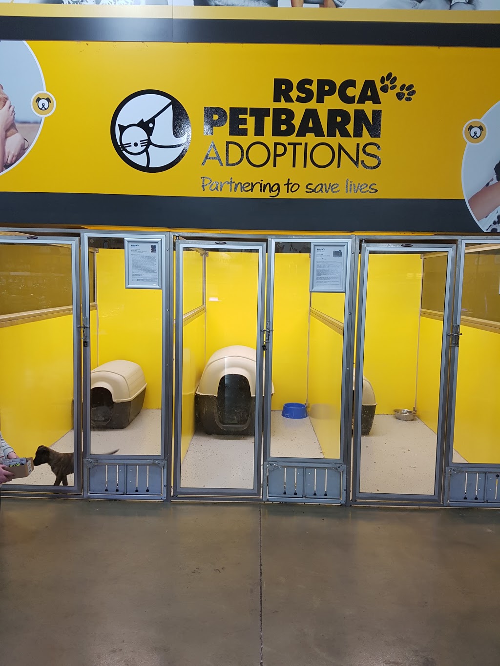 Petbarn Dubbo | pet store | Unit A Corner Mitchell Hwy &, Sheraton Rd, Dubbo NSW 2830, Australia | 0268846555 OR +61 2 6884 6555