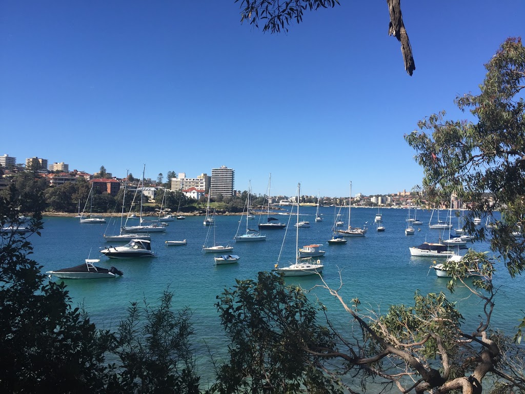 Wellings Reserve | park | North Harbour, 10 Gourlay Ave, North Harbour NSW 2093, Australia