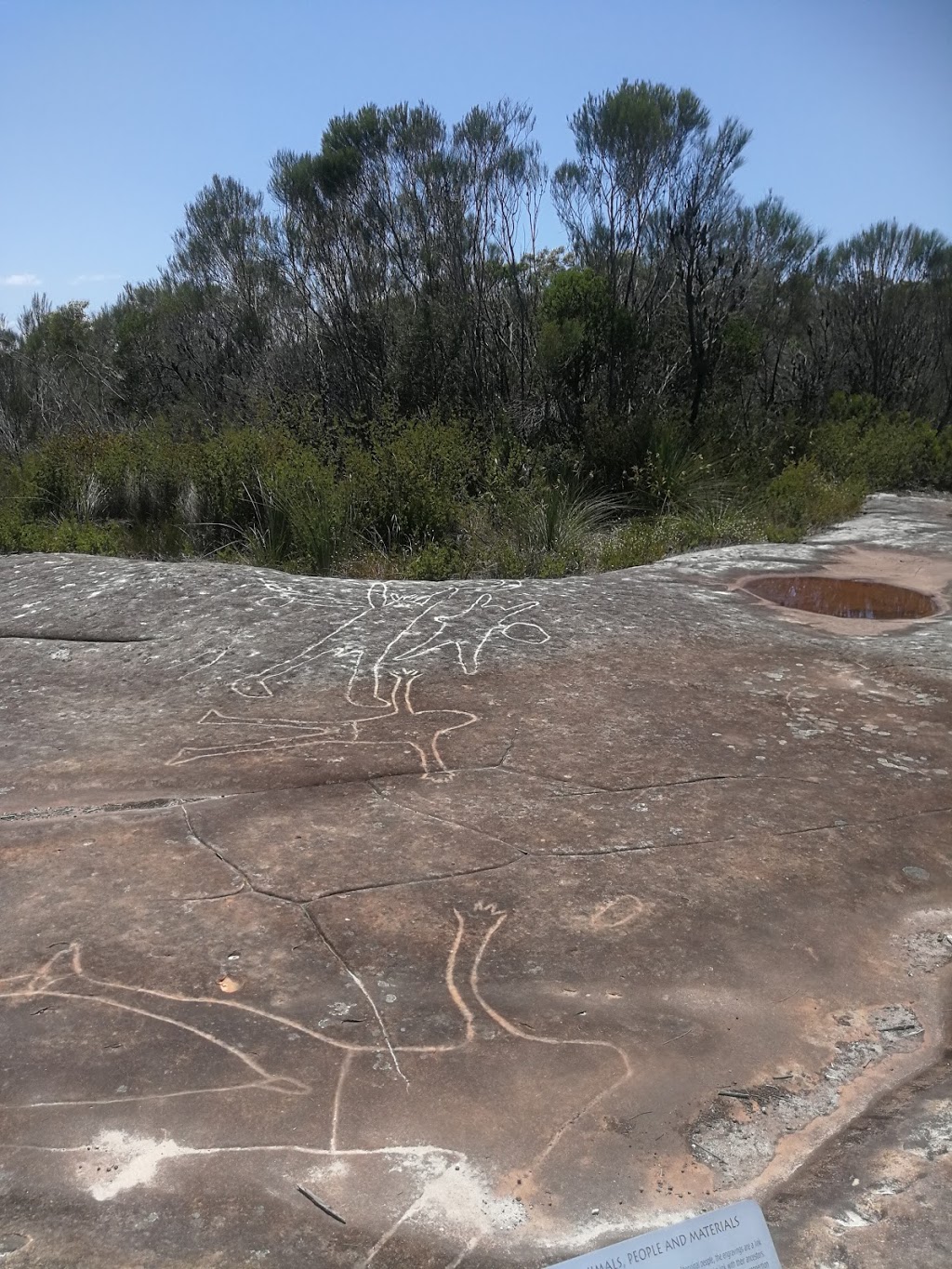 The Basin Trail | park | Basin Trail, Ku-Ring-Gai Chase NSW 2084, Australia