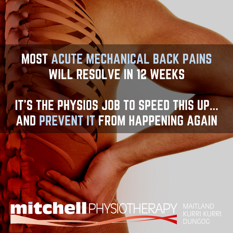 Mitchell Physiotherapy | 114 Dowling St, Dungog NSW 2420, Australia | Phone: (02) 4992 1498