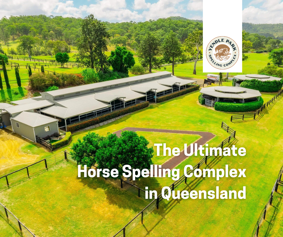 Yendle Park Spelling Complex | 588 Running Creek Rd, Running Creek QLD 4287, Australia | Phone: 0499 994 791