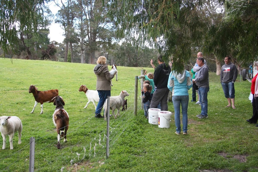 Big Valley Campsite | rv park | 46 Boronia Rd, Rosa Glen WA 6285, Australia | 0897575020 OR +61 8 9757 5020