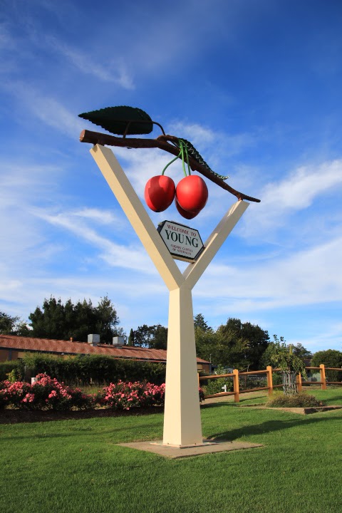 The Big Cherries | museum | 34 Main St, Young NSW 2594, Australia