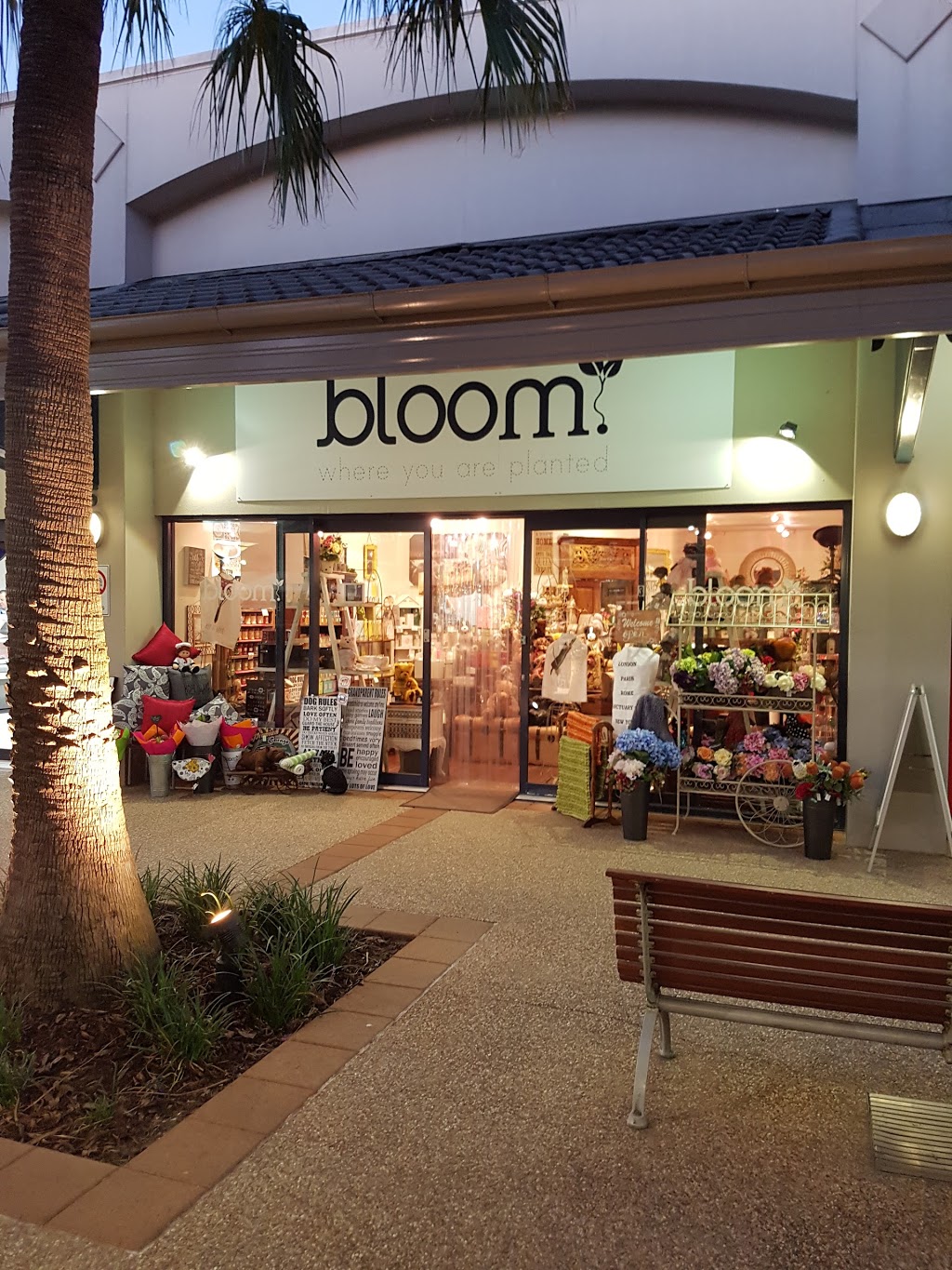 Bloom Where You Are Planted | florist | Hope Island Shopping Center, 3/10 Santa Barbara Rd, Hope Island QLD 4212, Australia | 0755301057 OR +61 7 5530 1057