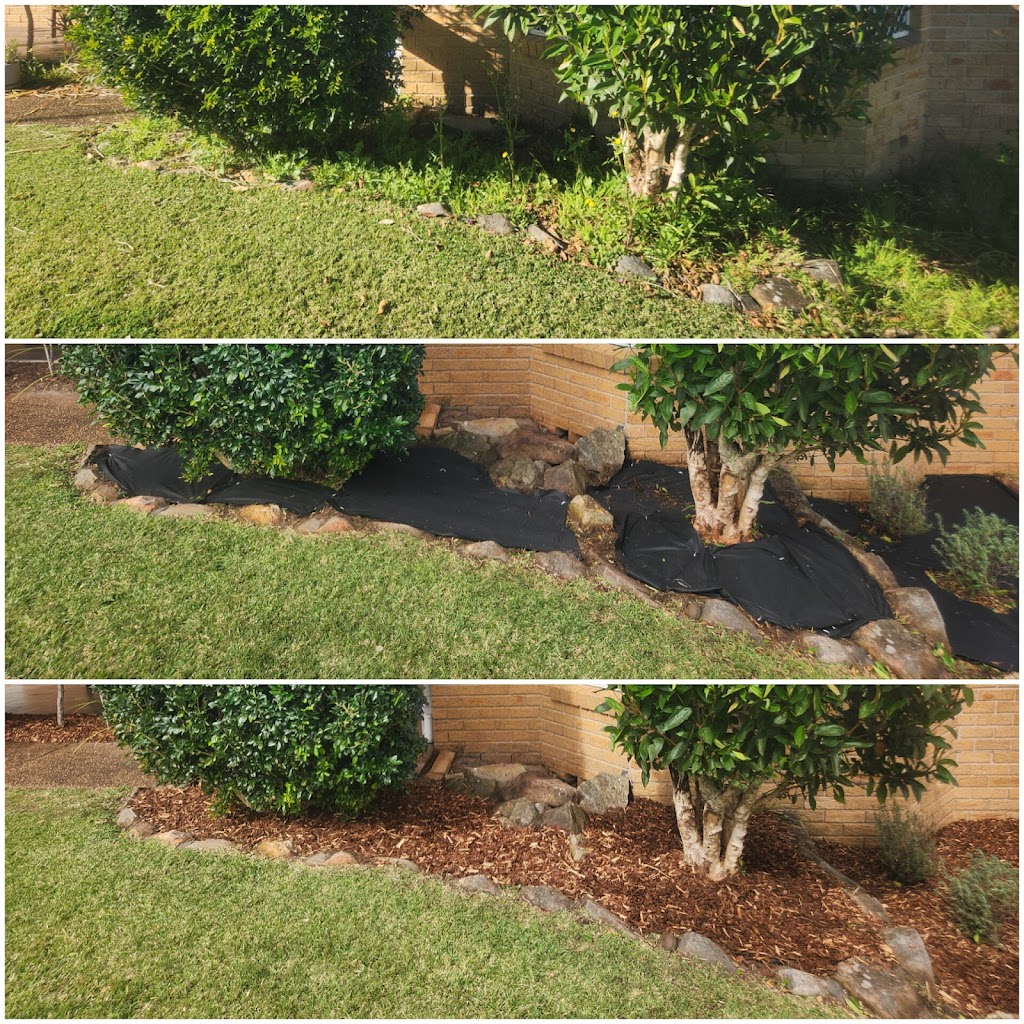 Green Thumb Grass & Gardens | 2 King St, Coolongolook NSW 2423, Australia | Phone: 0455 603 864