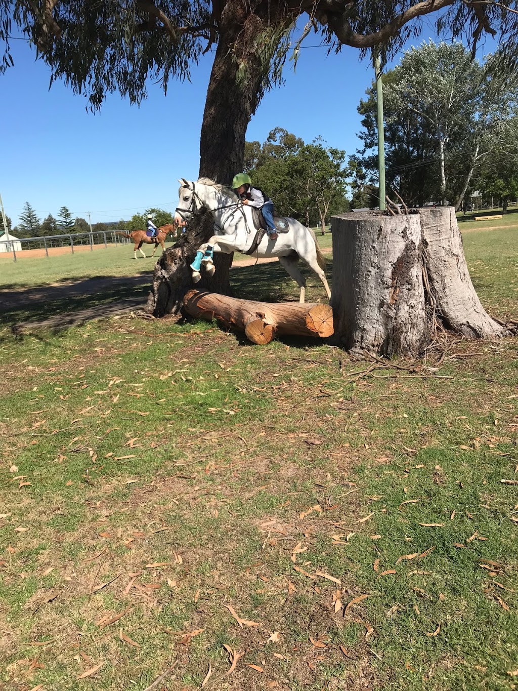 Harlow Park Horse Riding | 318 Gostwyck Rd, Uralla NSW 2358, Australia | Phone: (02) 6778 4631