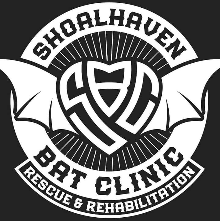 Shoalhaven Bat Clinic- Wildlife Rescue South Coast | Princes Hwy, Nowra NSW 2541, Australia | Phone: 0418 427 214