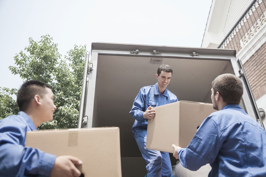 Rogue Wolf Removals | 5 Edward St, Bellevue WA 6056, Australia | Phone: (08) 9250 6577