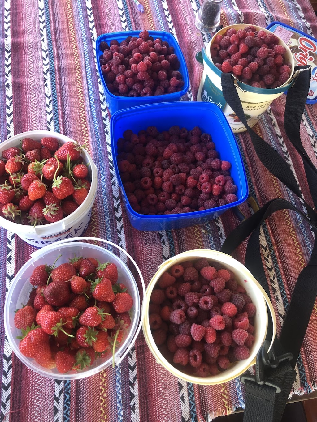 J&Bs Home Grown Produce | 20 Salmon Ponds Rd, Plenty TAS 7140, Australia | Phone: 0473 118 206