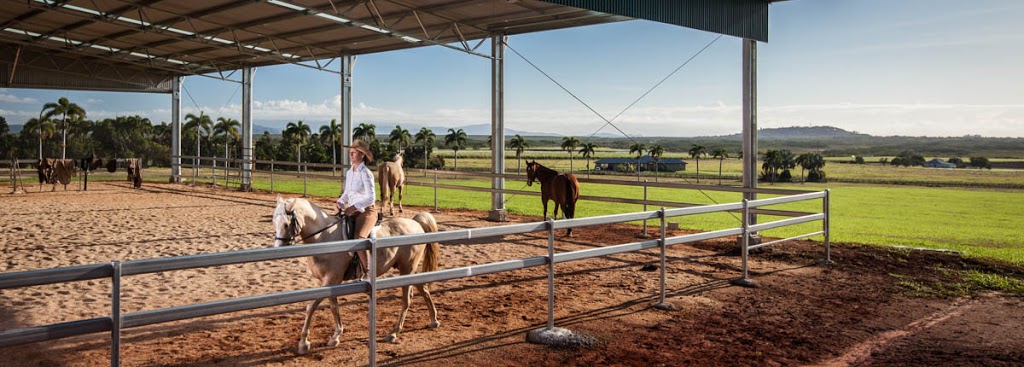 Ports Horse Farm | travel agency | L5 Heritage Lane, Craiglie QLD 4877, Australia | 0448082028 OR +61 448 082 028