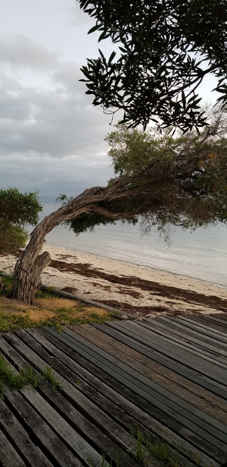 Red Bluff Coastal Reserve | Yanakie VIC 3960, Australia