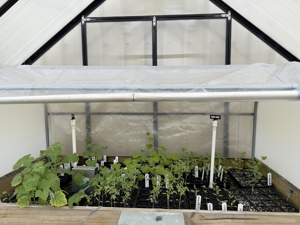 OrKID Mix | 295 Woodleigh-st Helier Rd, The Gurdies VIC 3984, Australia | Phone: 0449 992 236