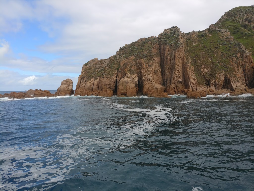 Wildlife Coast Cruises | travel agency | 11 The Esplanade, Cowes VIC 3922, Australia | 0359523501 OR +61 3 5952 3501