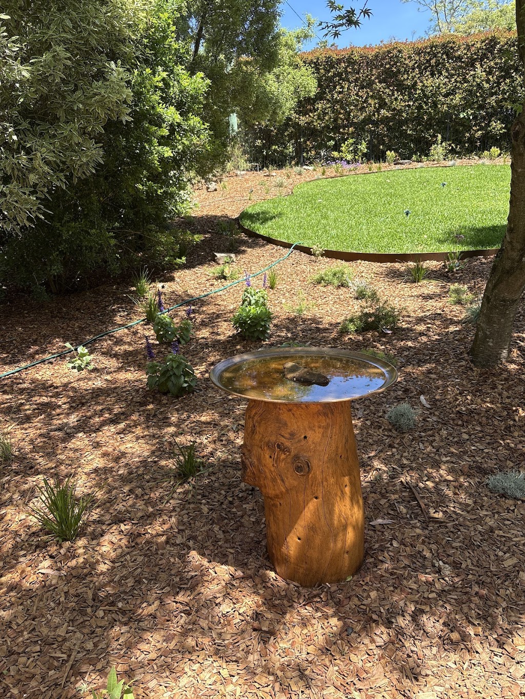 Protea Landscapes | 72 St Georges Cres, Faulconbridge NSW 2776, Australia | Phone: 0494 315 332