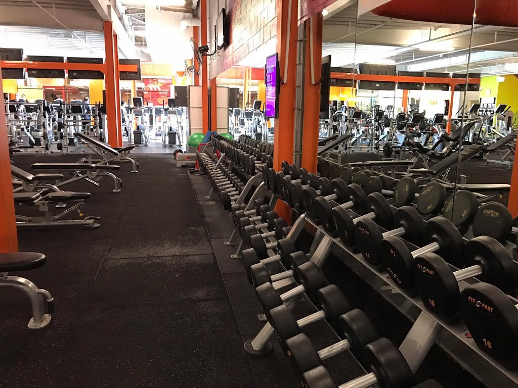 FNF Forest Hill | gym | Level 3, Shop 321/270 Canterbury Rd, Forest Hill VIC 3131, Australia | 0399997610 OR +61 3 9999 7610