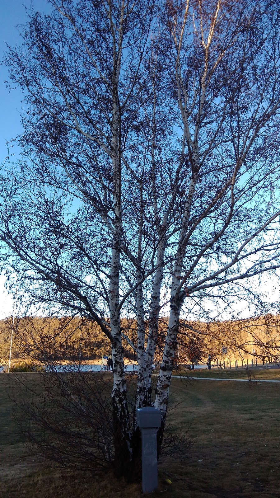 Jindabyne Terrain Park | Jindabyne Bowling & Sports, 2 Bay St, Jindabyne NSW 2627, Australia