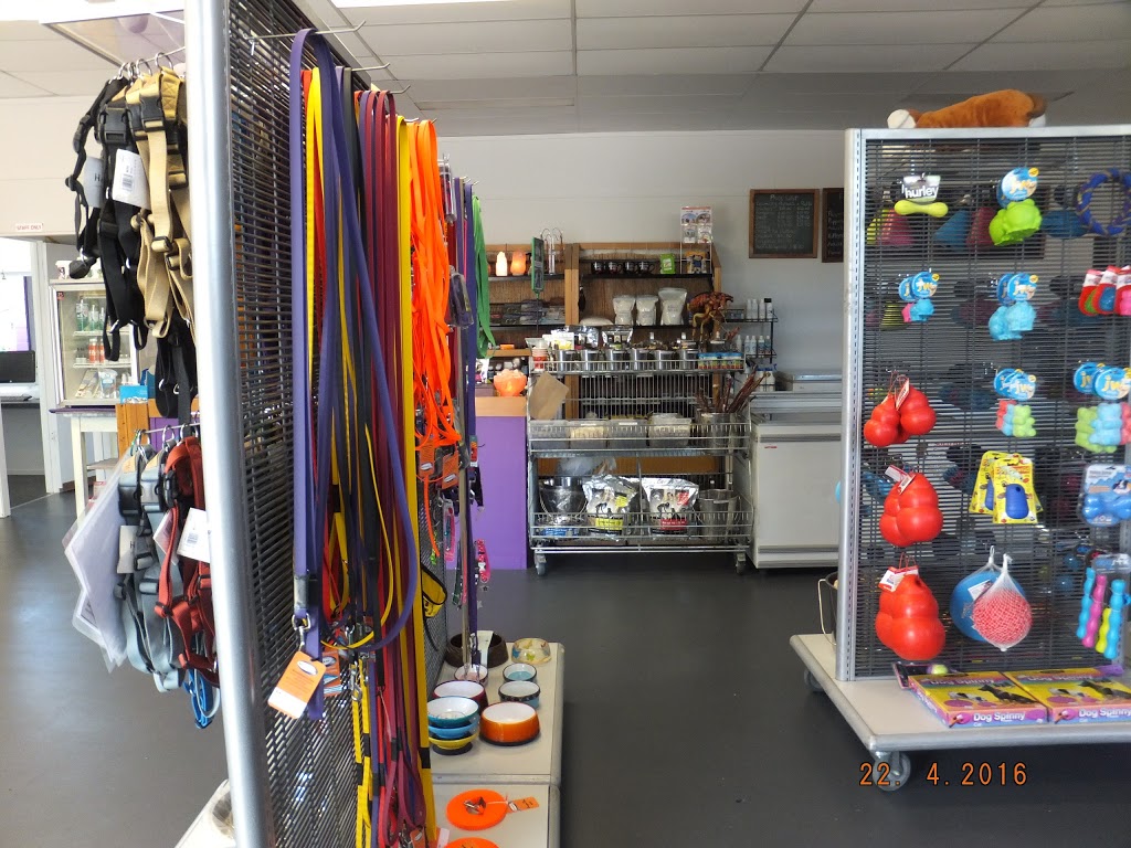 The Complete Pet Company | pet store | 148 S Pine Rd, Enoggera QLD 4051, Australia | 0738553555 OR +61 7 3855 3555